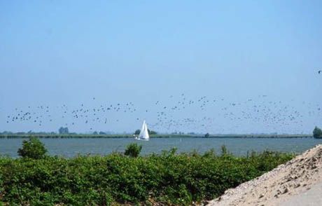 Nieuw eiland in het IJ