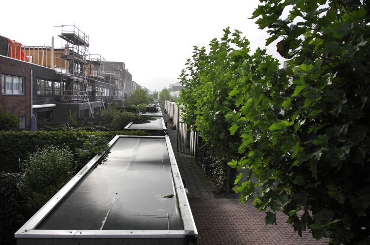 Maar één vergunning voor bouwen, kappen, slopen