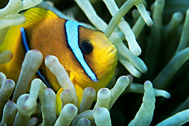 4de editie North Sea Film Festival Studio/K