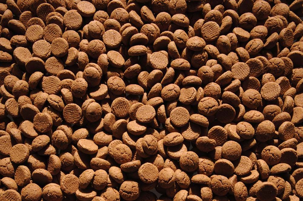 Vrijwilligers nodig voor Sintfeest