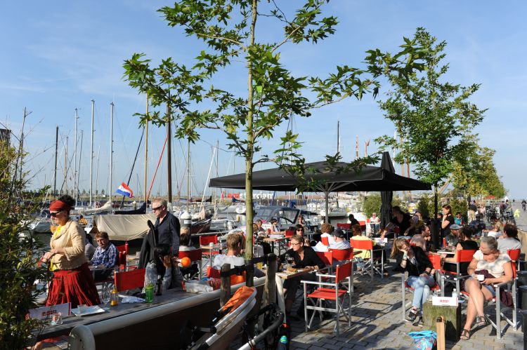 Ondernemers Havenkwartier verenigen zich