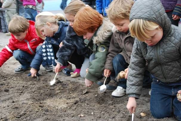 Bijgebouw Montessori – ‘innovatief groen’ – officieel geopend