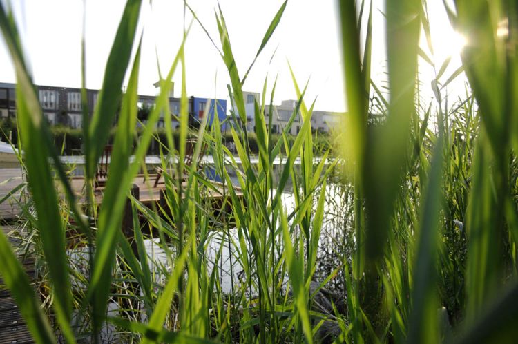 Kort verhaal ‘Rollenspel’