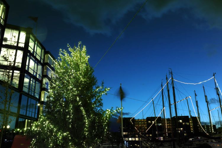 Kleine ‘markt’ in The Lighthouse