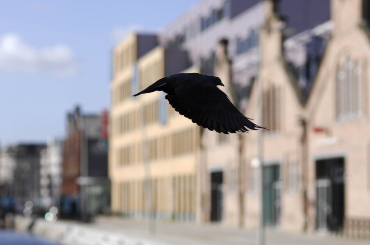 Méérbelangen eist directe stopzetting subsidie moskee