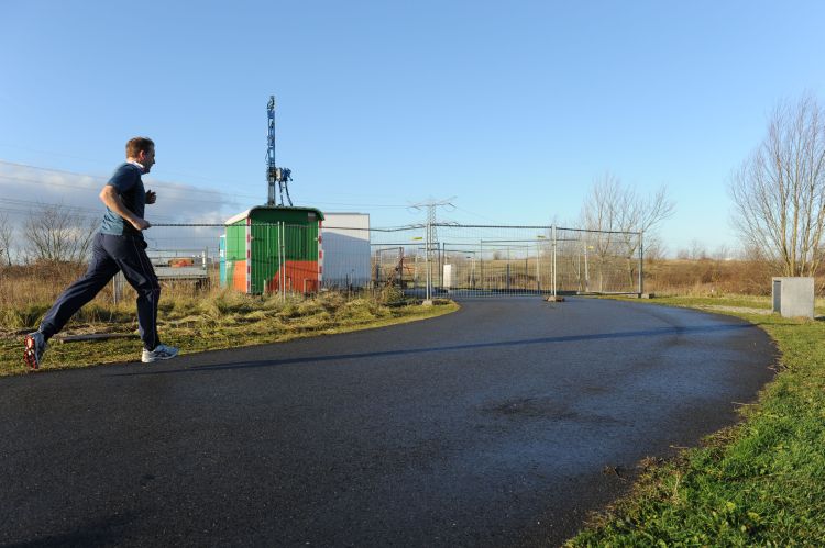 Korte wortels in het Diemerpark