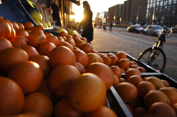 Promotie IJburg: ruimte voor bewonersinitiatieven