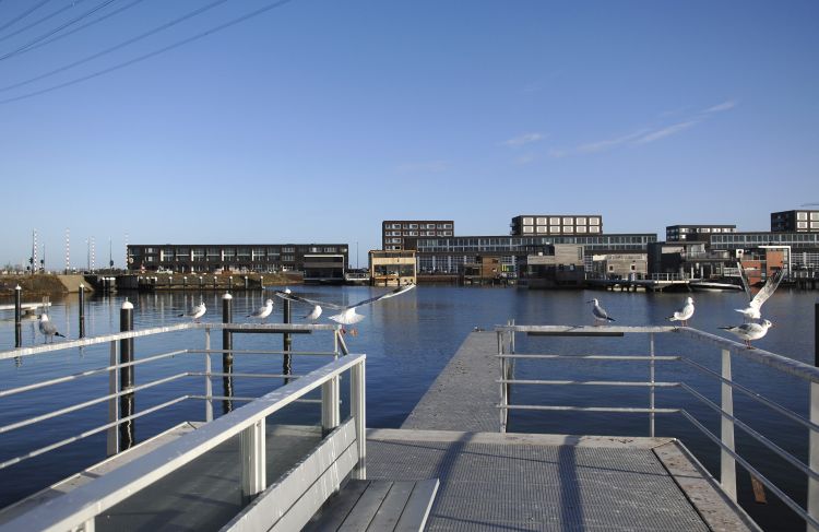 Bewonersbijeenkomst Steigereiland Noord