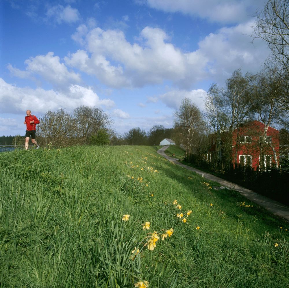 De geheimen van de Diemerzeedijk