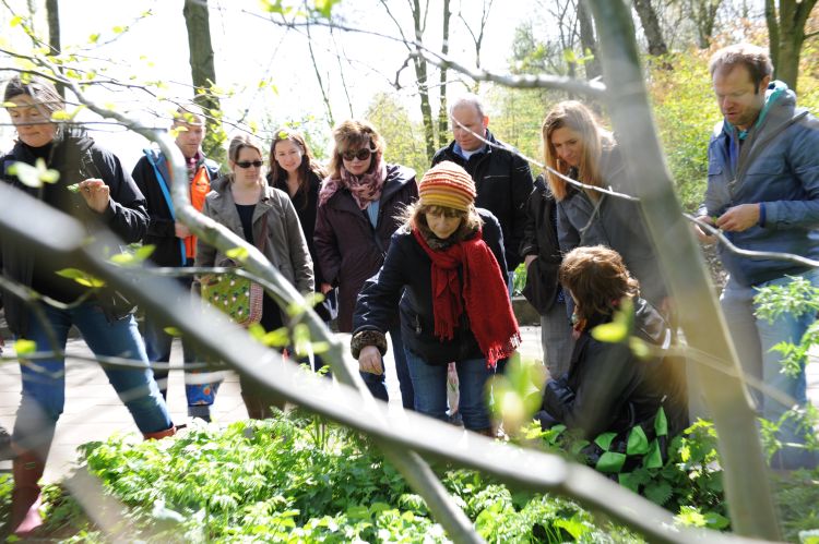Wildplukken in het Flevopark