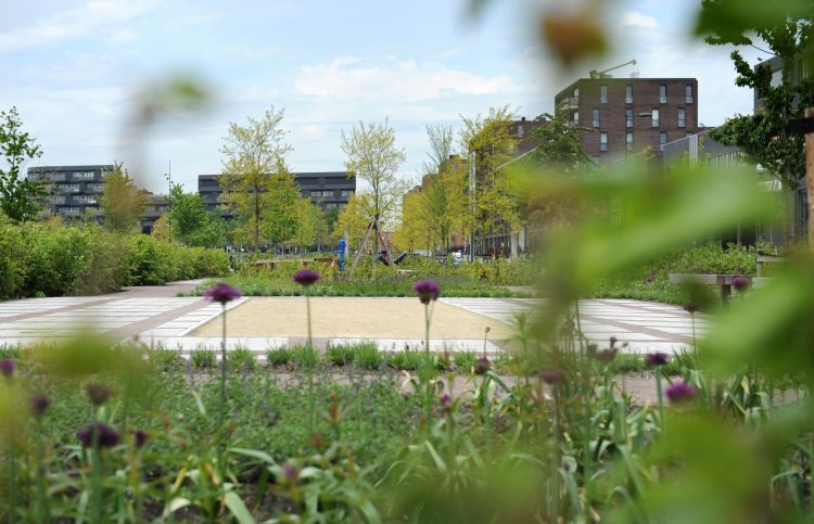 Jeu-de-boulers gezocht