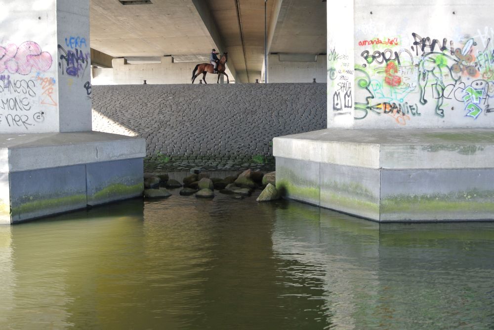 Paard onder de A10, Diemerzeedijk
