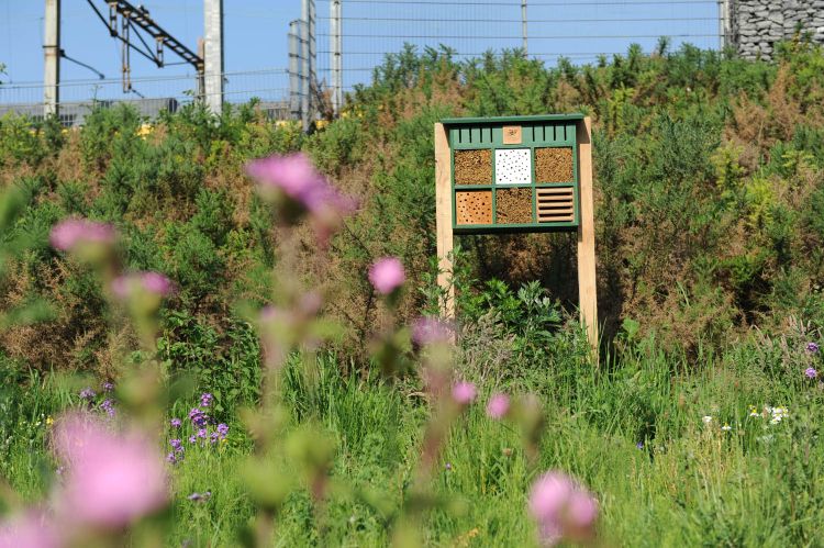 Stadsdeel verwelkomt bijen