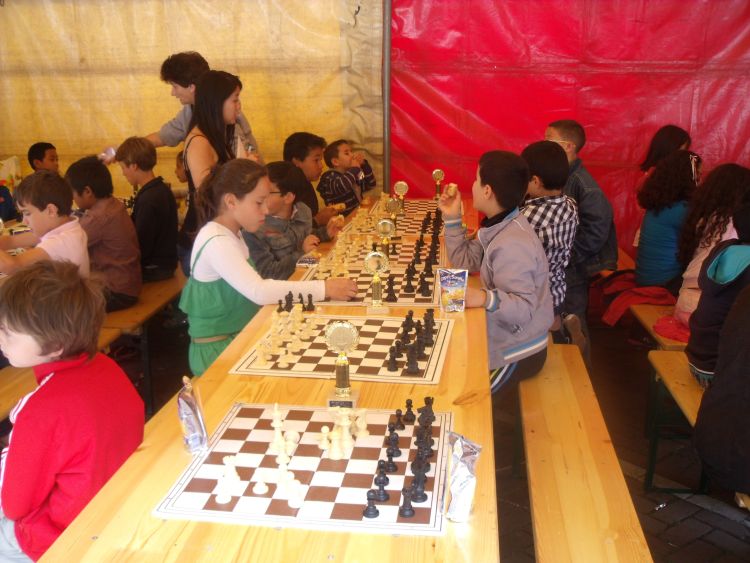 Samen Indische Buurt Festival in beeld