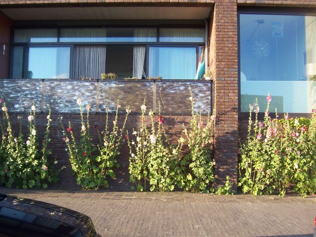 Pas op de openbare ruimte