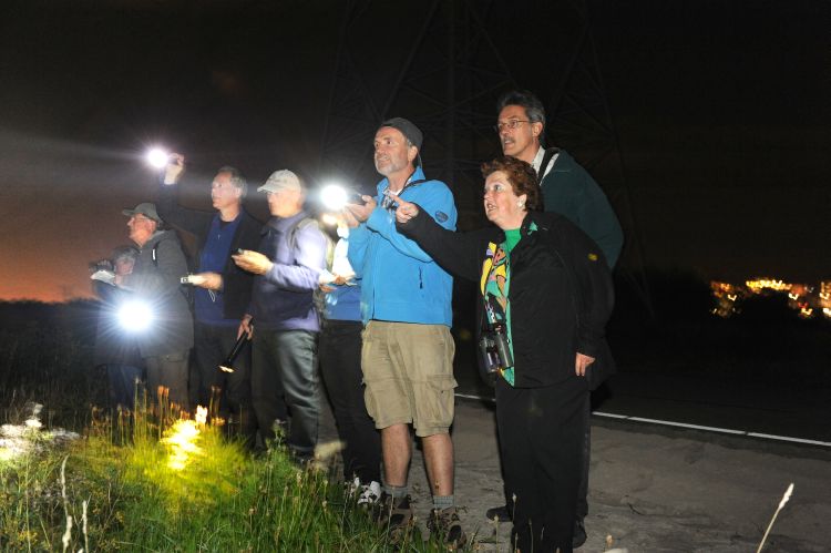 Vleermuizen in het Diemerpark: ‘Als we ze konden horen zouden we stokdoof zijn’