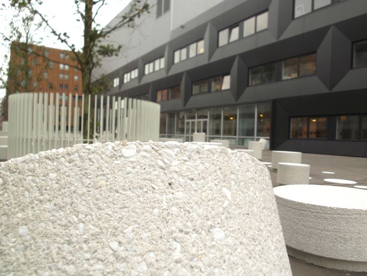 Leerlingen maken foto’s