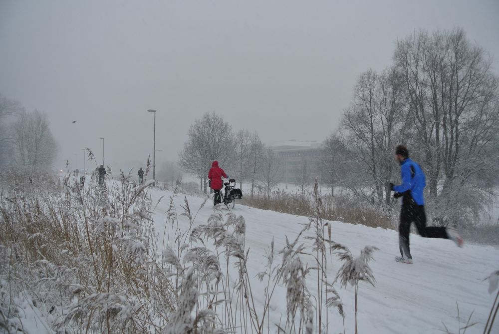 Beelden van een winters Oost