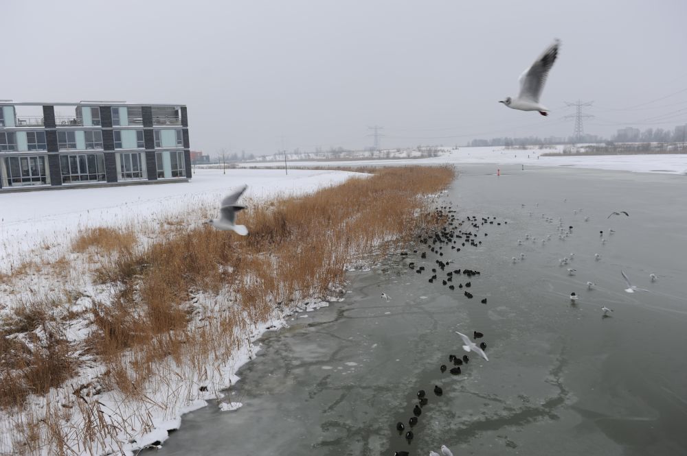 Hersenstichting collecteert