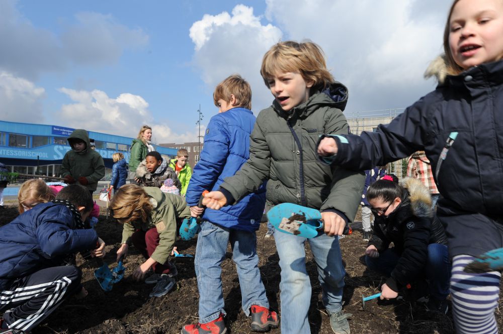 Kinderen zaaien bloemen voor bijen