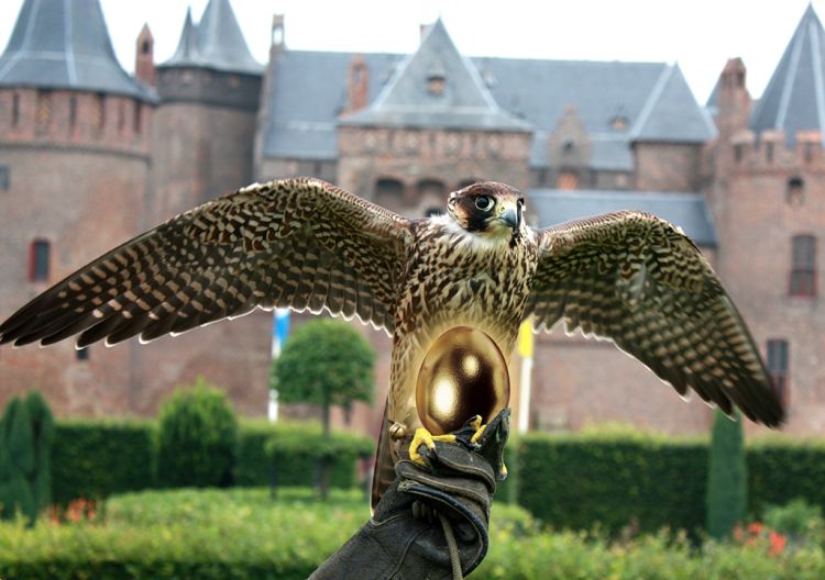 Voor een dag directeur van Muiderslot