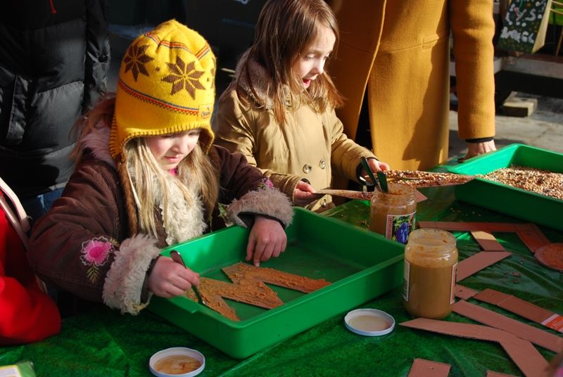 Vleermuiskastjes in de Tugelahuistuin