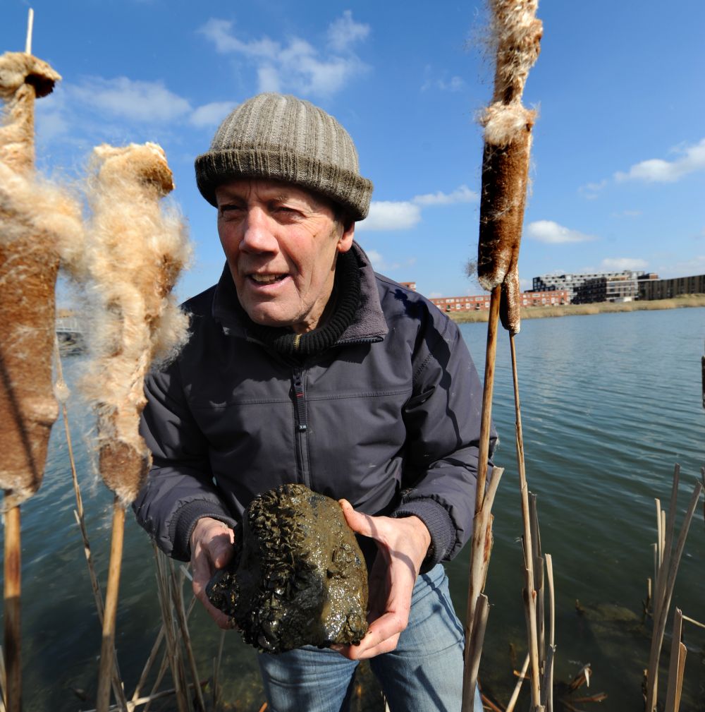 Glooiende oevers vol leven