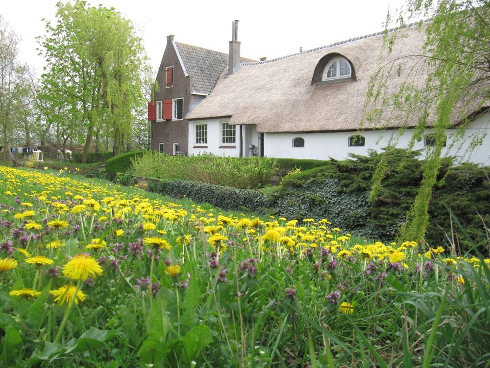 Educatie en feestjes Bij de Boerin