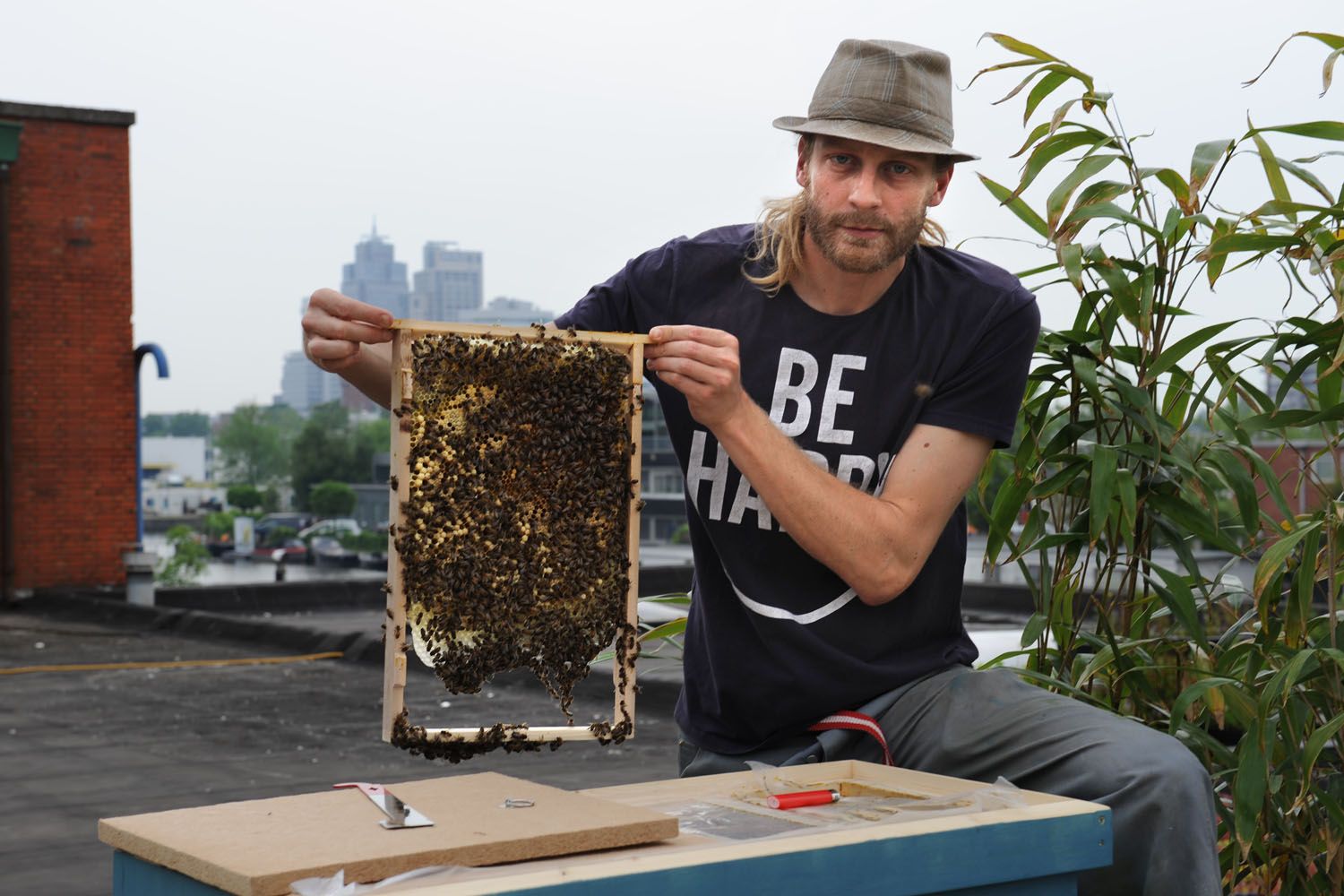 Imker worden op een dak in Amsterdam-Oost