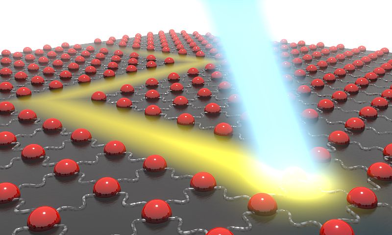 ‘We willen een wereldspeler zijn’