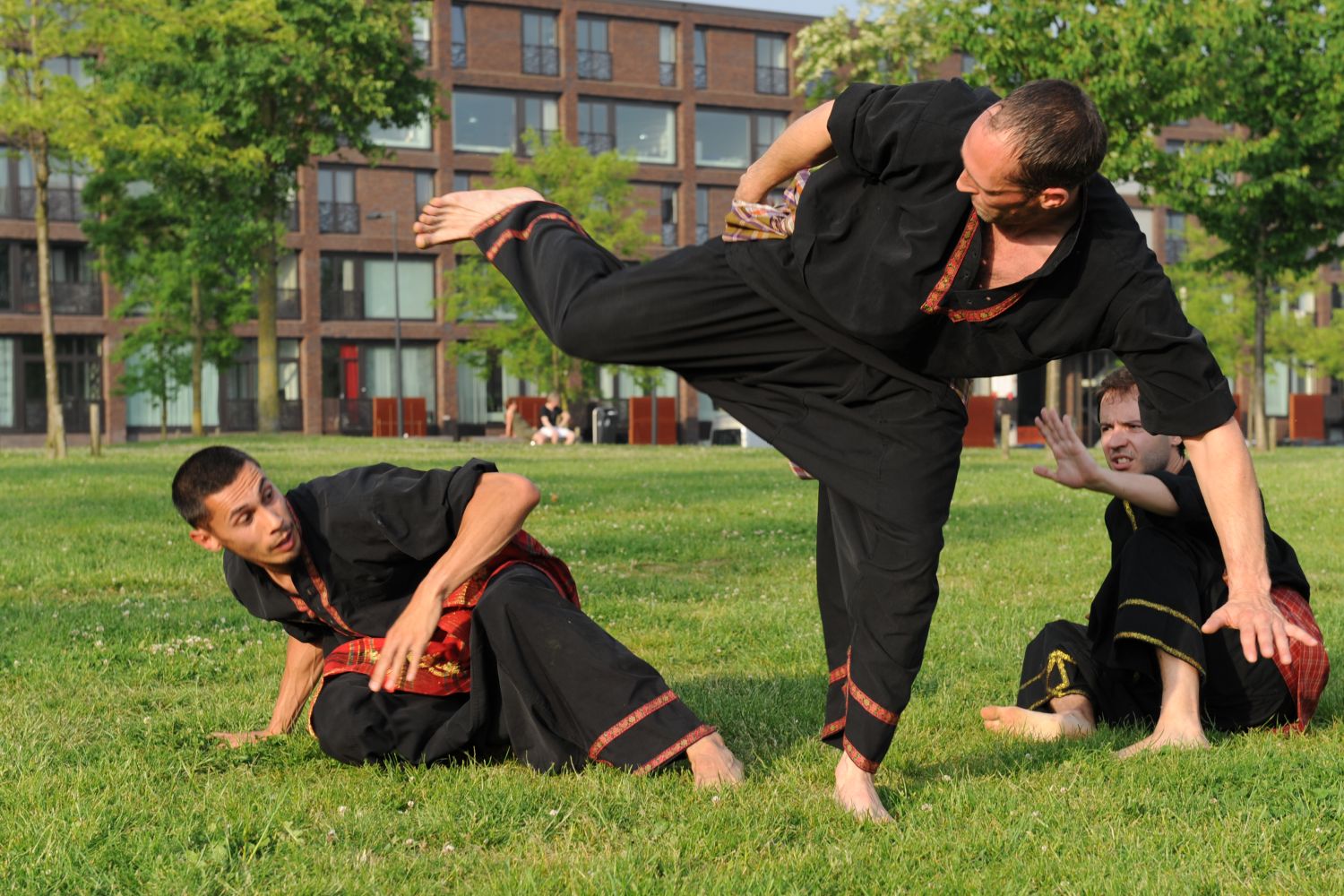 Indonesische zelfverdediging in Van Goghpark