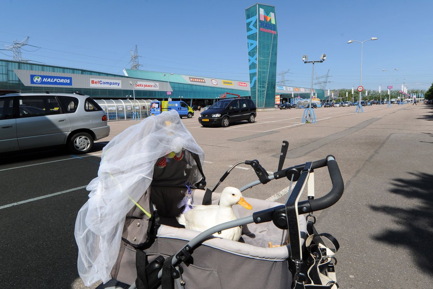 Disneymiddag bij Maxis