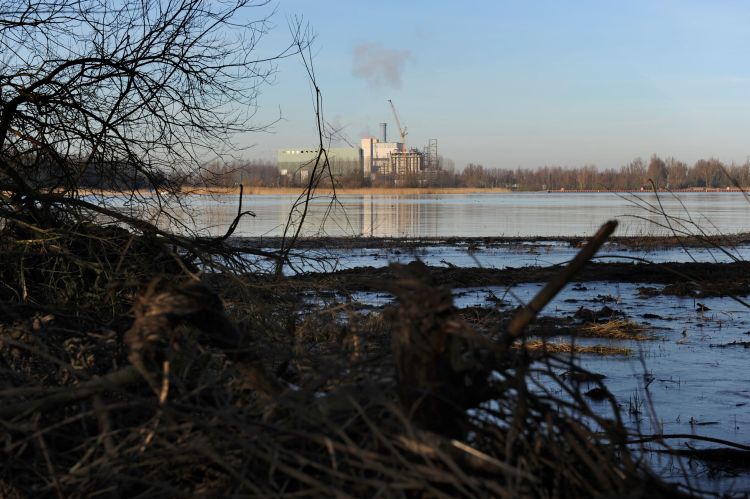 Samen de centrale kopen?
