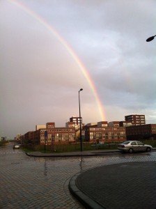 Pot of Gold