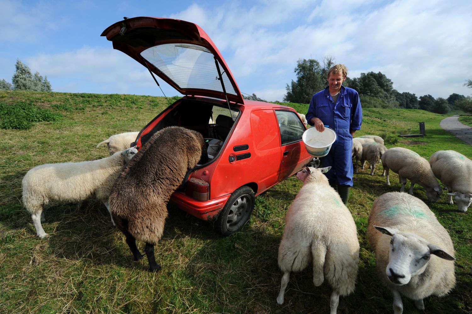 De dames van de Diemerzeedijk
