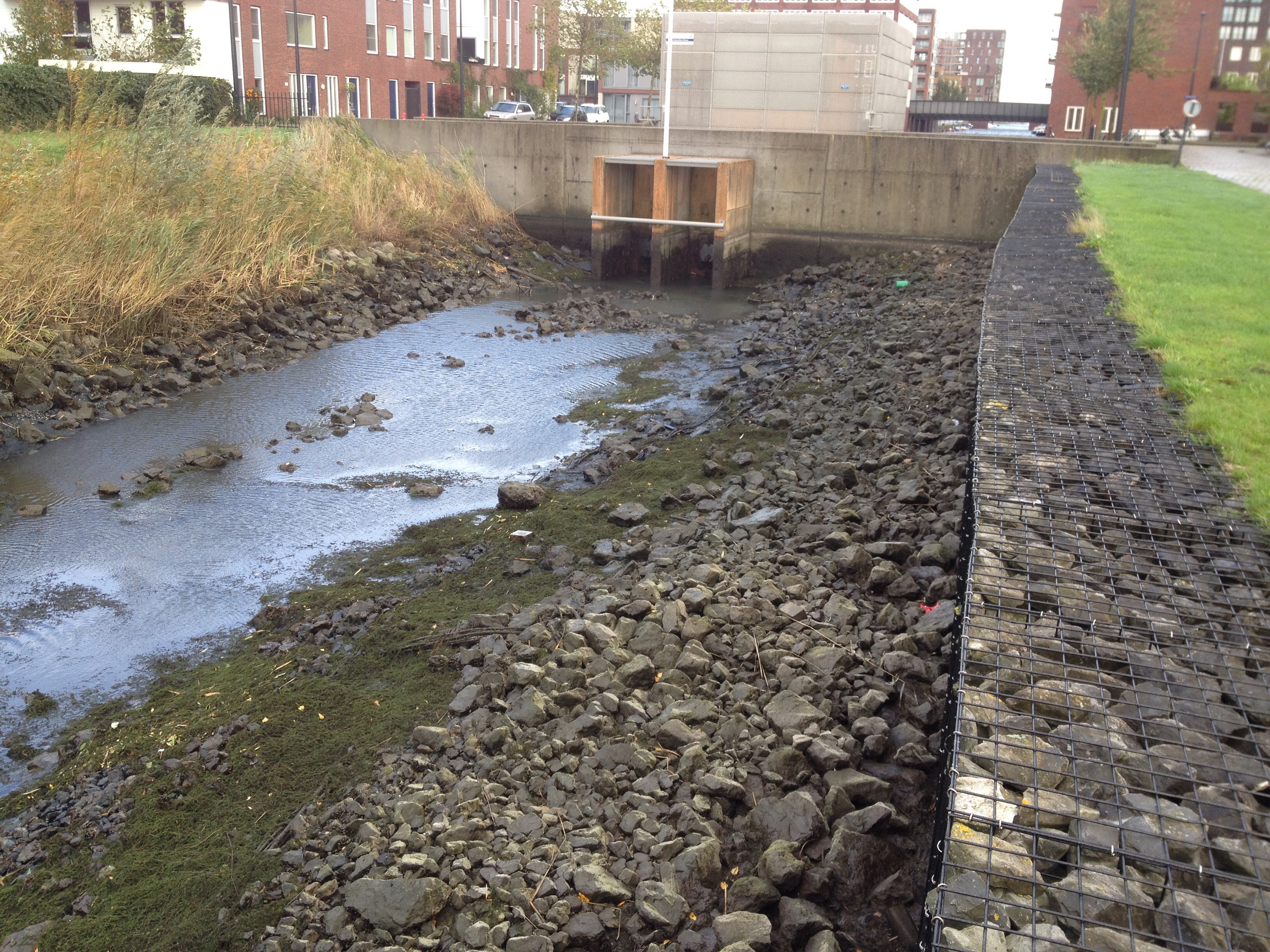 De genadeloze natuur van IJburg