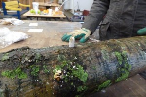 NJBB aan het werk in Sportpark Middenmeer 3