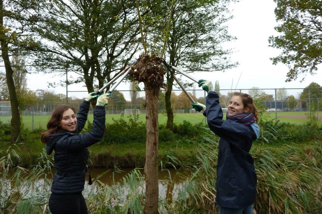 Natuurwerk door vrijwilligers in Sportpark Middenmeer