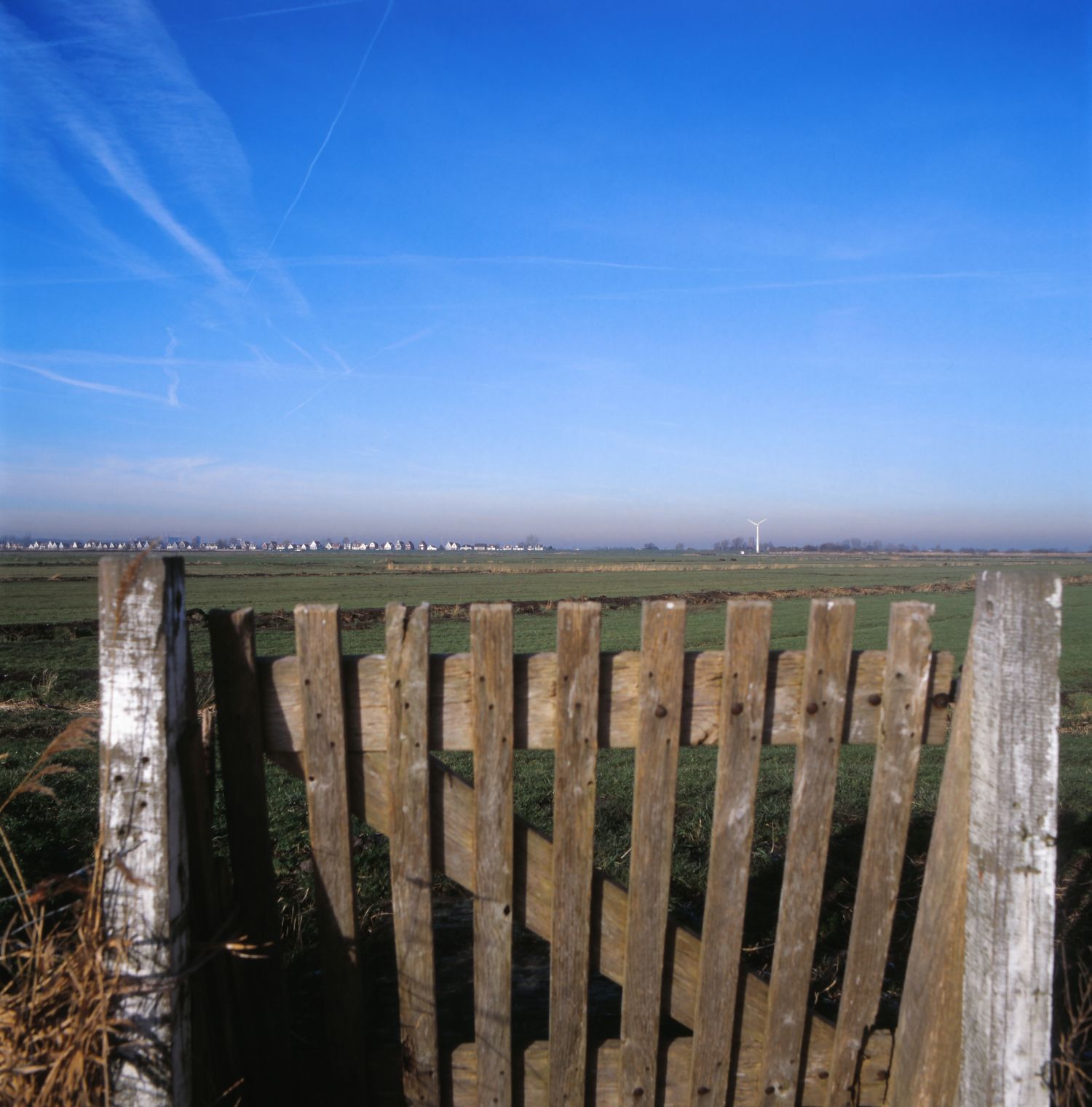 Polder bij Durgerdam klaar voor weidevogels