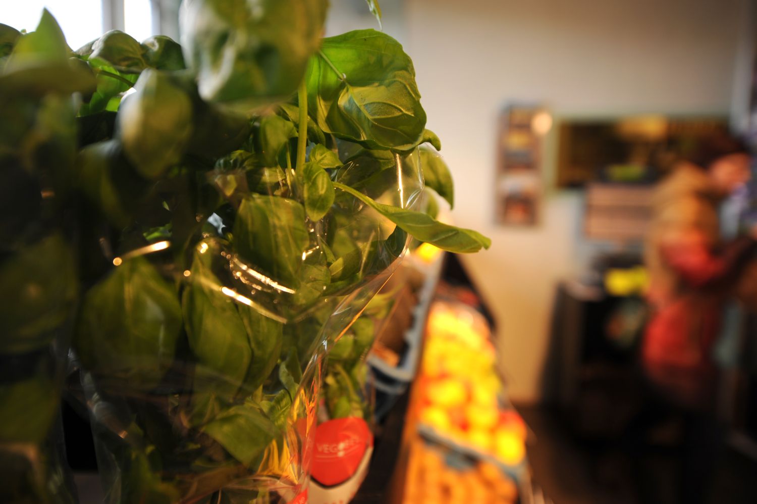 Knutselmiddag voor Serious Request