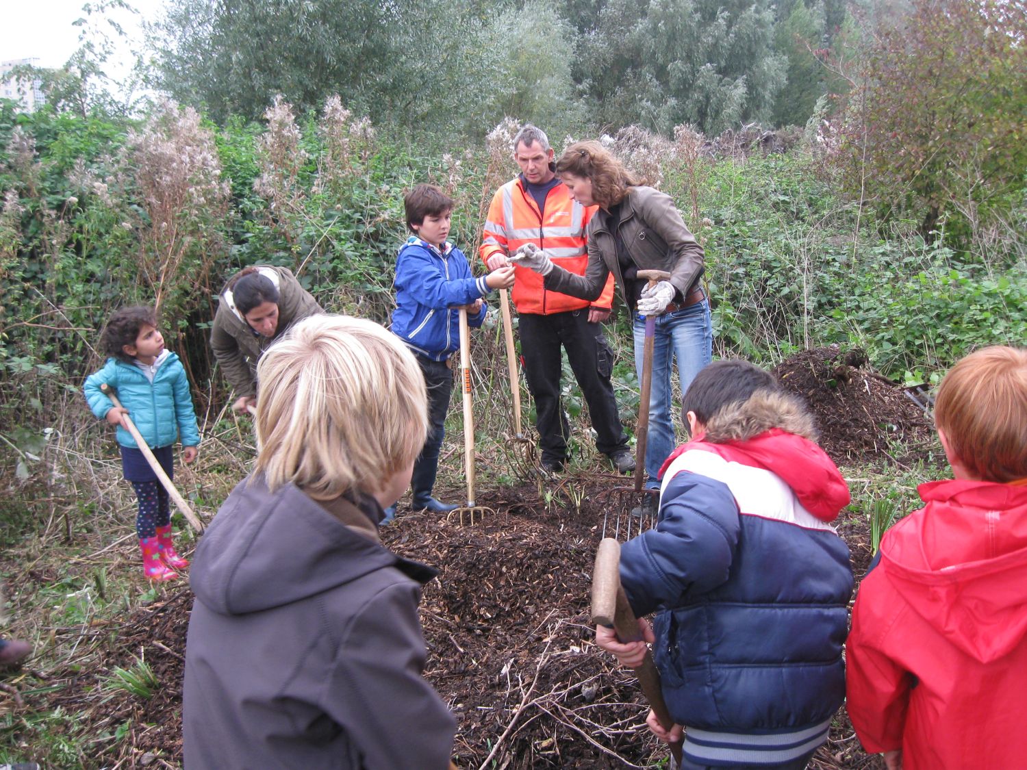 Vrijwilligers tellen ringslangeieren