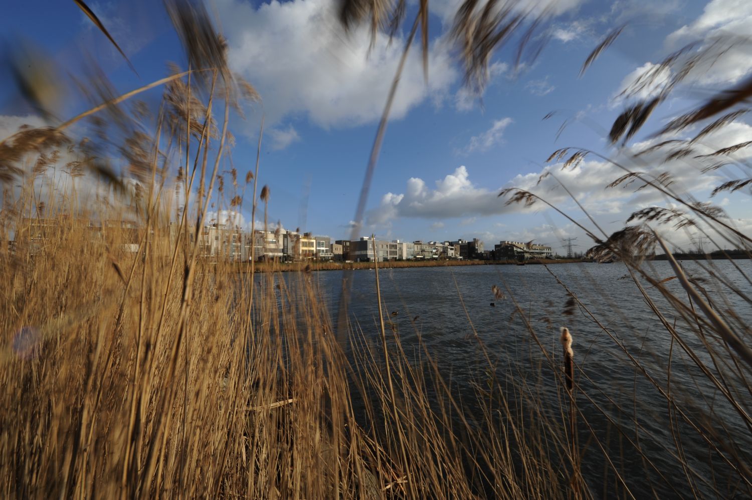 Meer steigers voor IJburg
