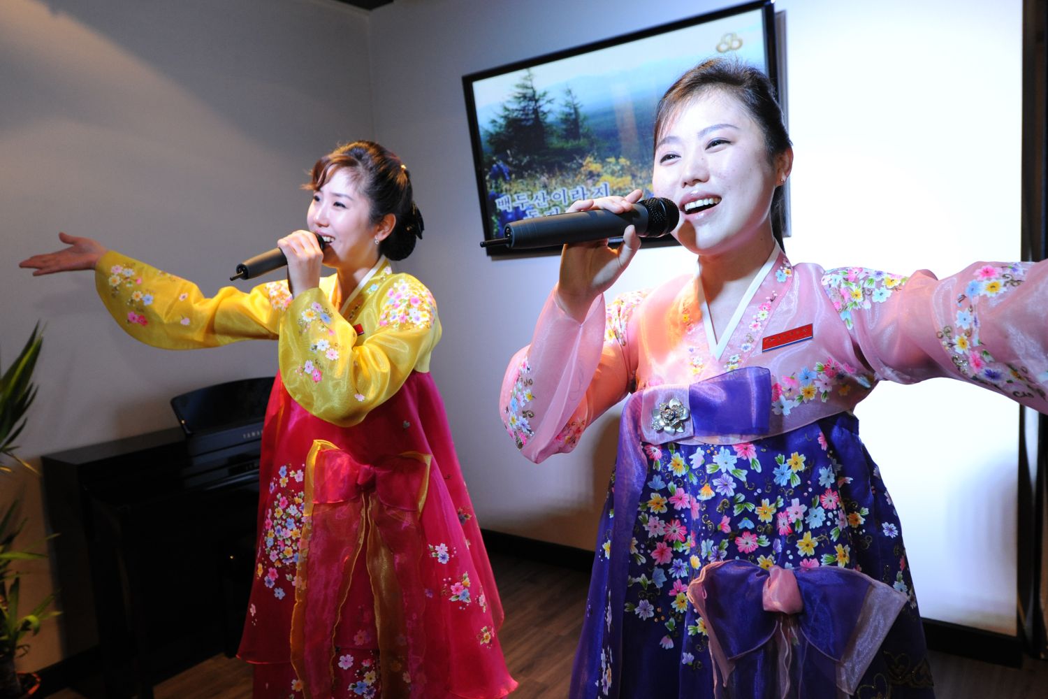 Noord-Koreaan strijkt neer in Oost