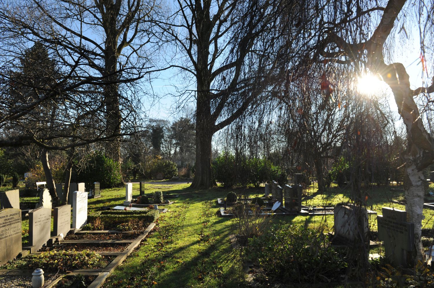 Herdenking slachtoffers WOII op De Nieuwe Ooster