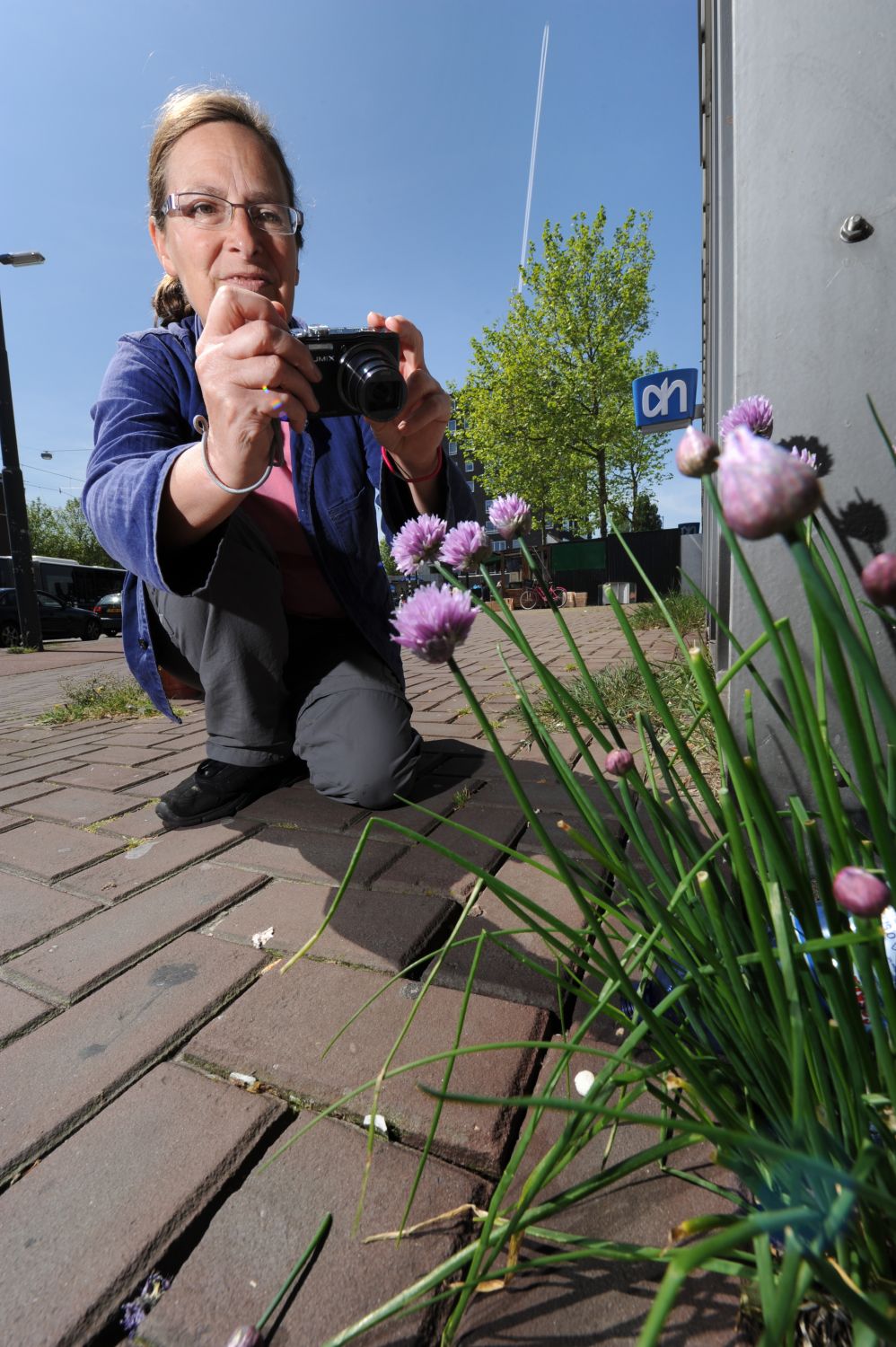 Stoepgroenten liggen voor het oprapen