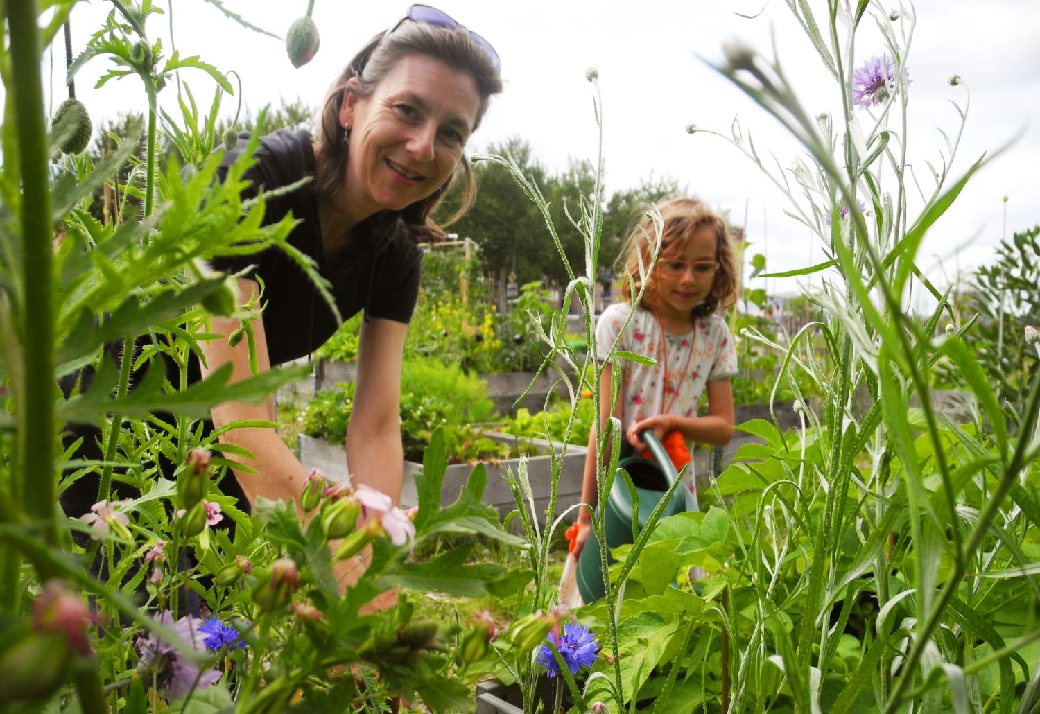 Een gekleurd vlaggetje in de aarde