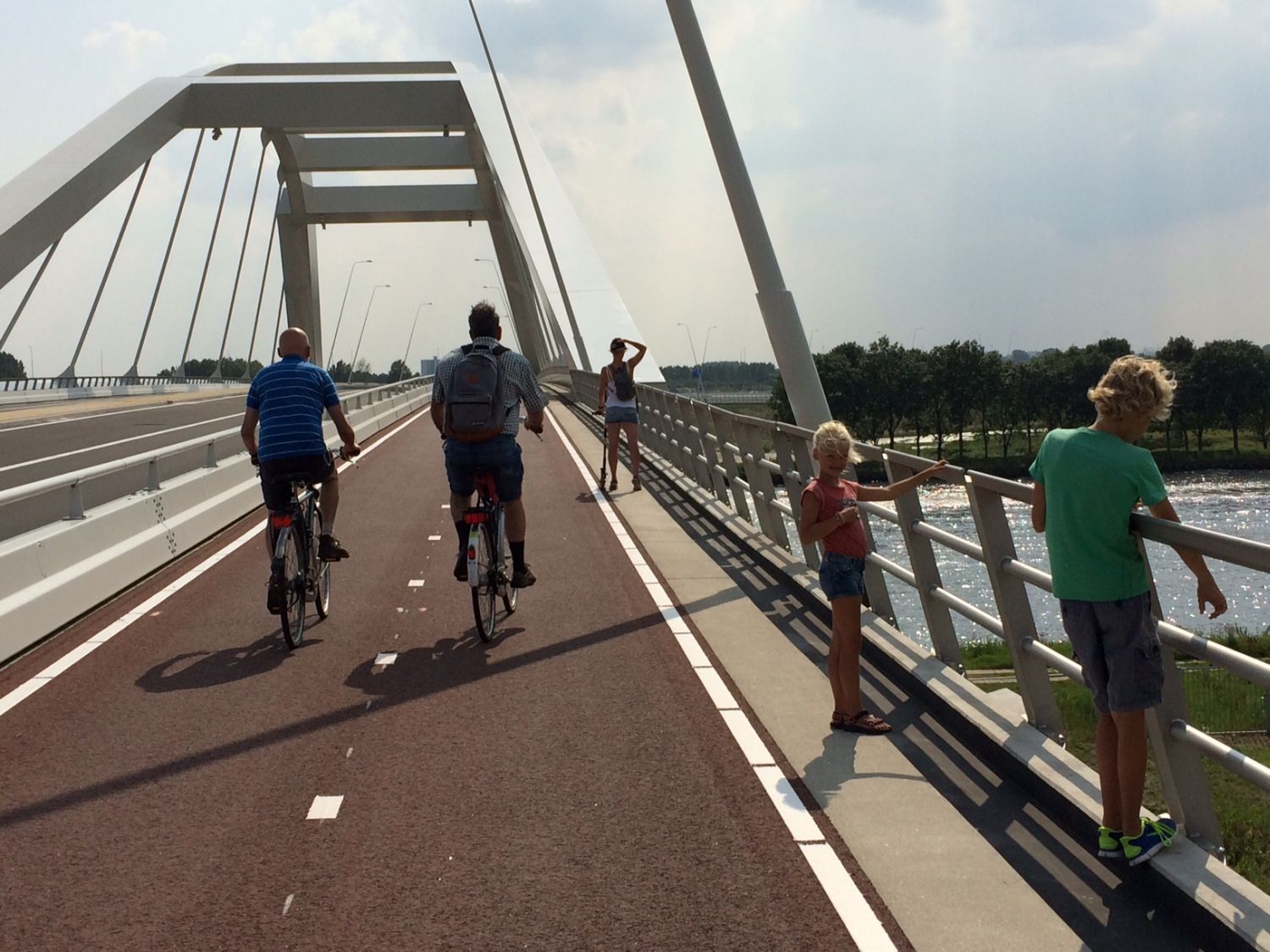 Hekken van de nieuwe Uyllanderbrug gestolen