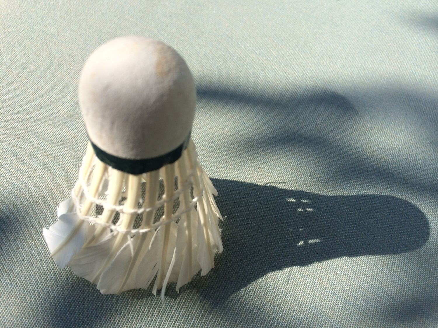 Open Avonden Badmintonvereniging Zeeburg