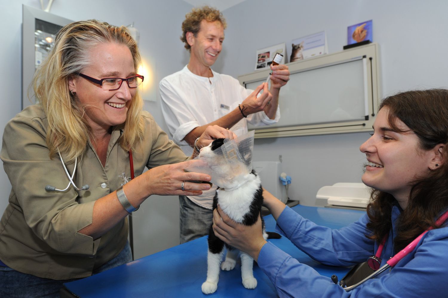 Het Dierenpunt bestaat 10 jaar