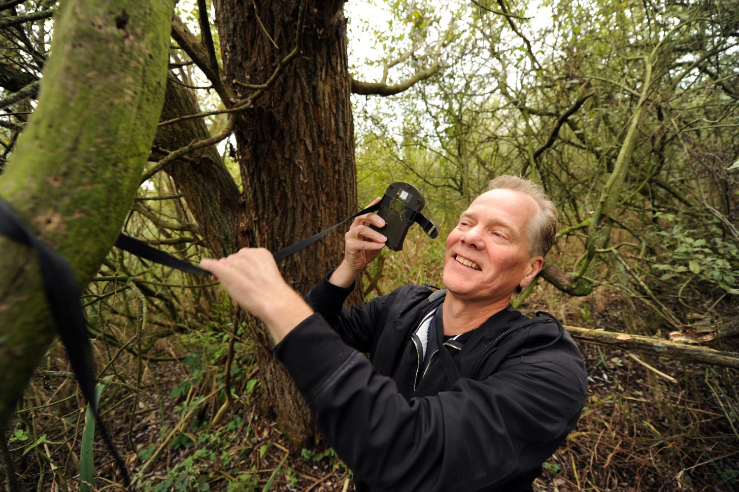 Boommarter gespot in de Diemer Vijfhoek